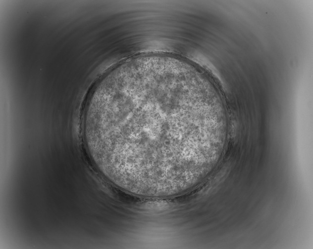 X0000089680882200707201658