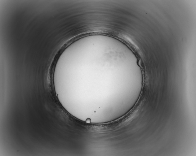 X0000089680883200707201658