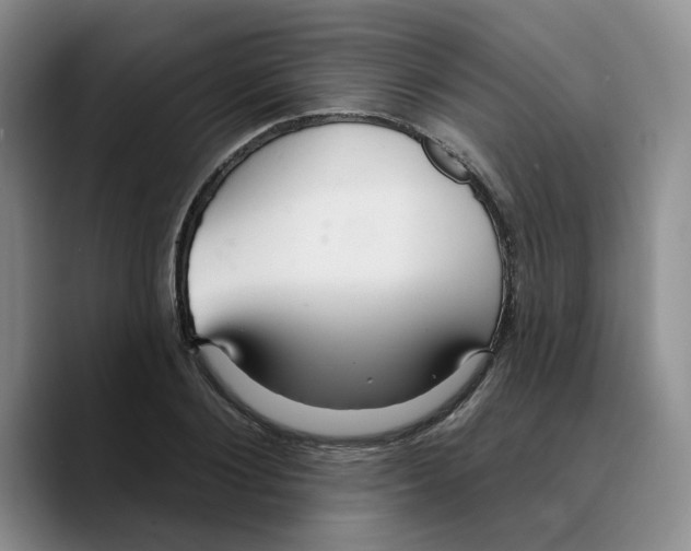 X0000089680884200707201657