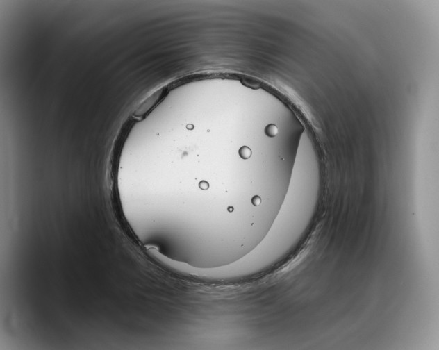 X0000089680885200707201657