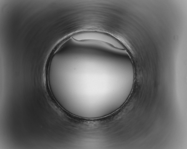 X0000089680888200707201657