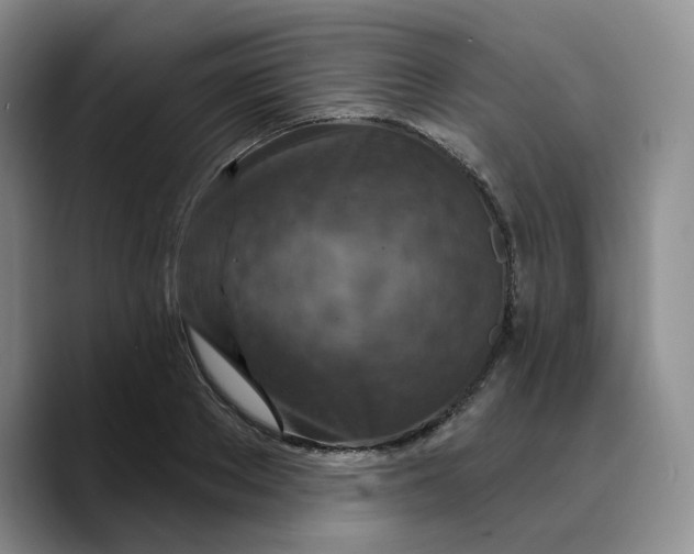 X0000089680889200707201657