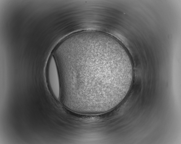 X0000089680891200707201657