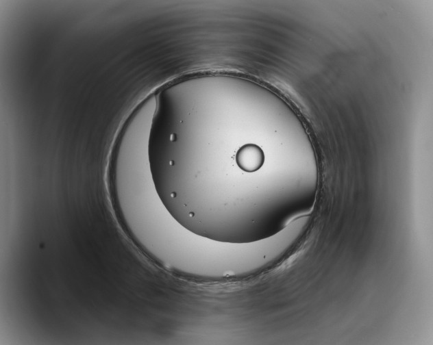 X0000089680893200707201657