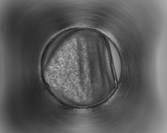 X0000089680896200707201657