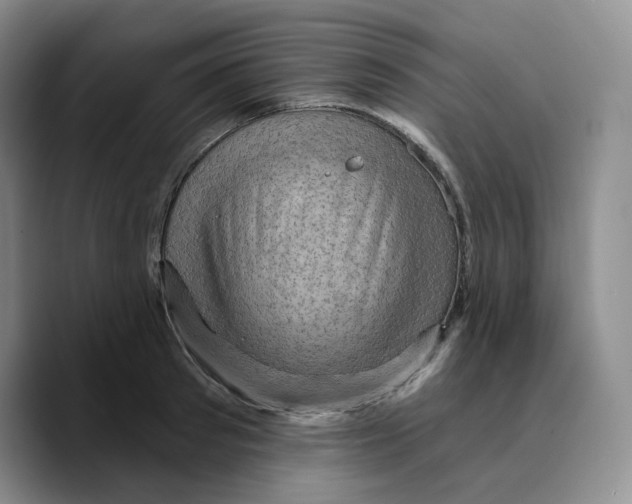 X0000089680897200707201657