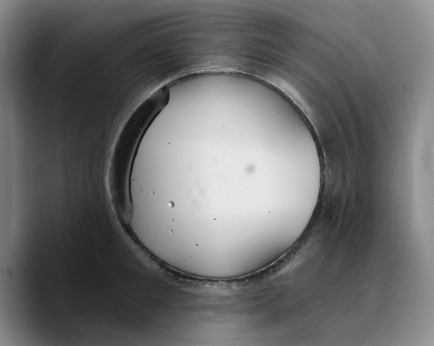 X0000089680901200707201657