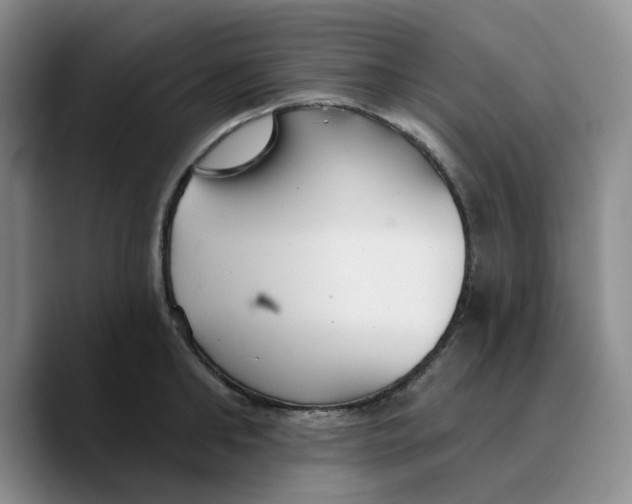 X0000089680902200707201657