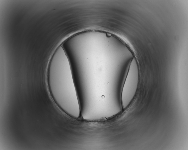 X0000089680903200707201657