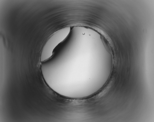 X0000089680905200707201657