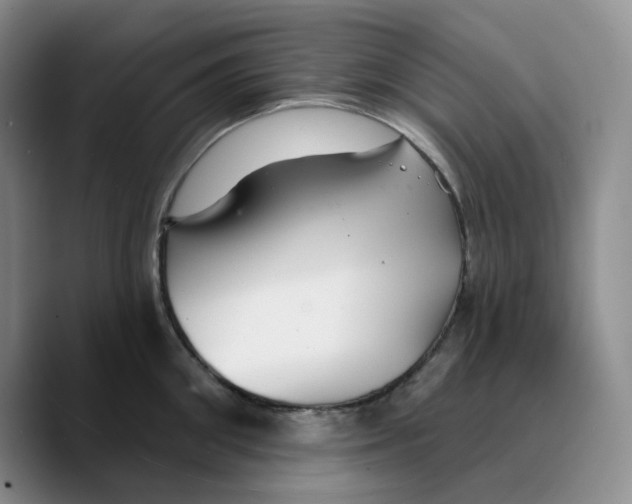 X0000089680906200707201657