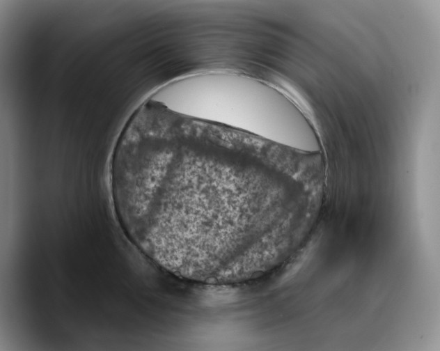 X0000089680907200707201657