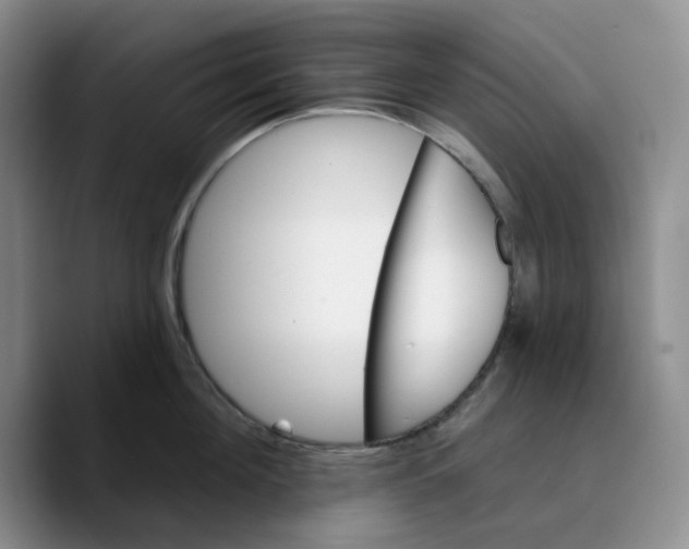 X0000089680908200707201657