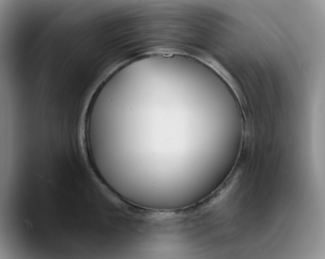 X0000089680909200707201657