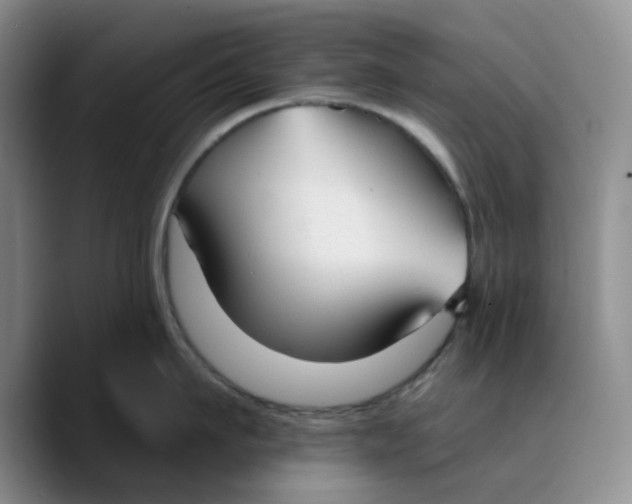 X0000089680911200707201657