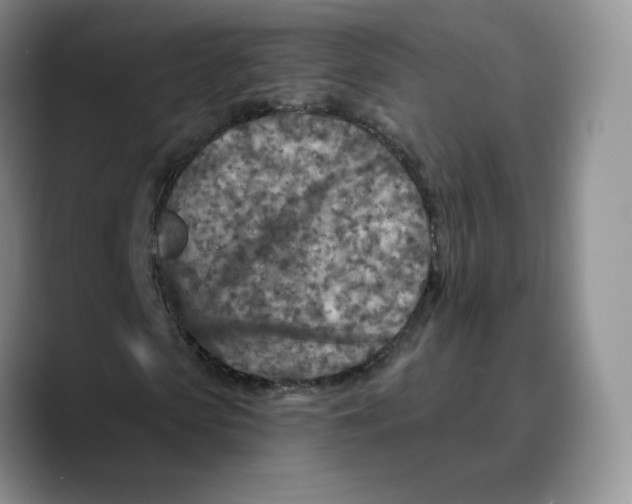 X0000089680913200707201656