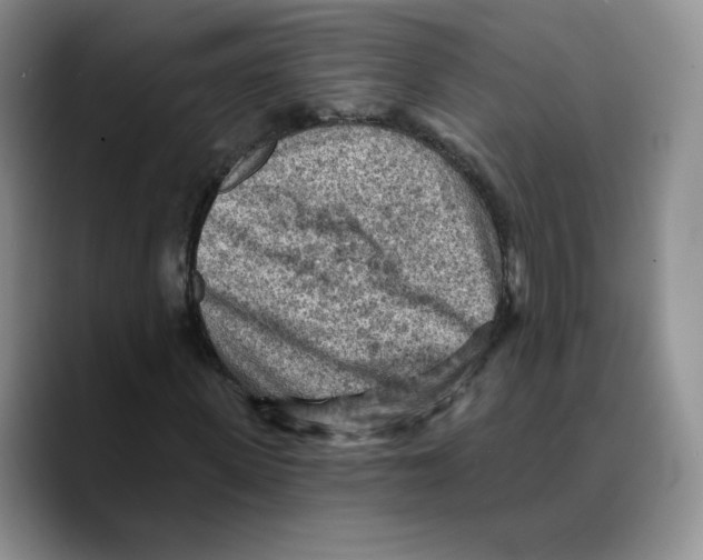 X0000089680915200707201657