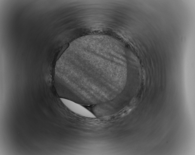 X0000089680916200707201657