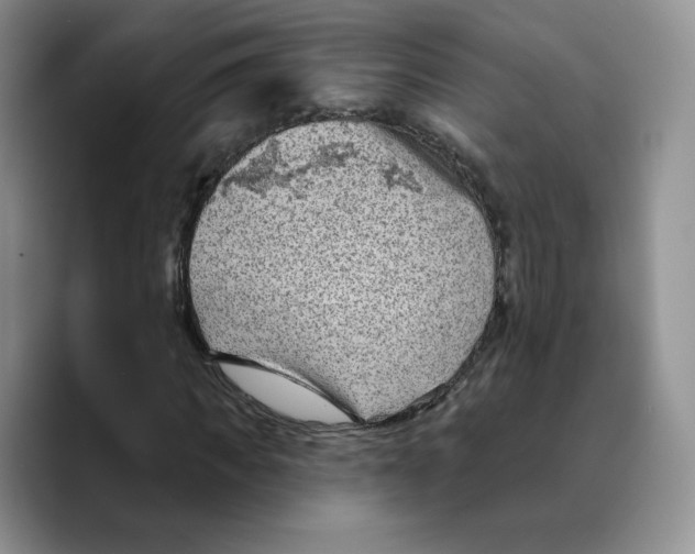 X0000089680917200707201657