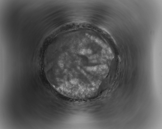 X0000089680919200707201657