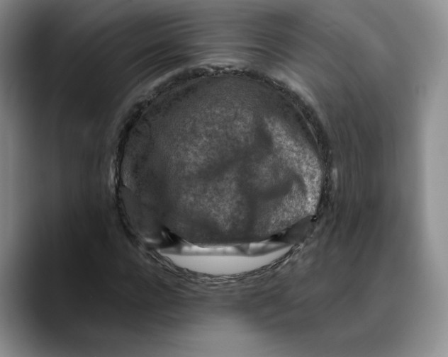 X0000089680920200707201657