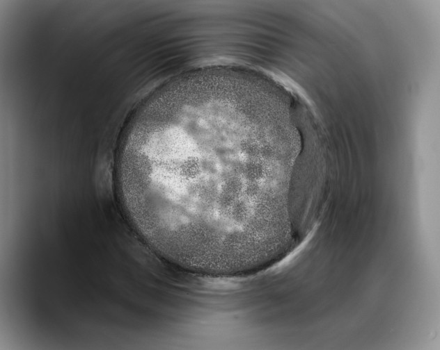 X0000089680921200707201657