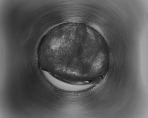 X0000089680923200707201657