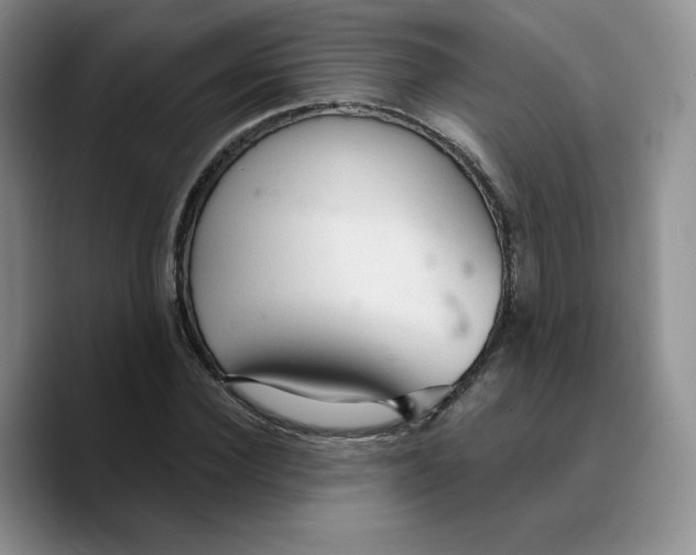 X0000089680924200707201657