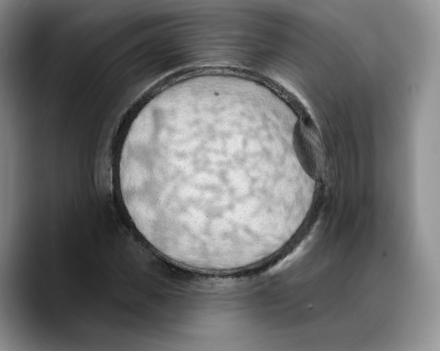 X0000089680925200707201657