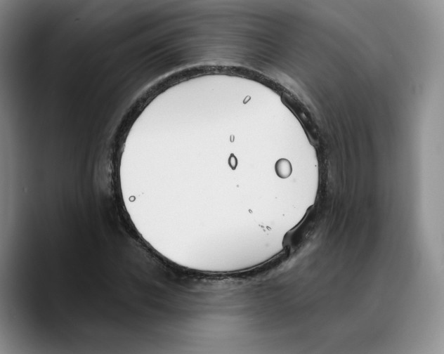 X0000089680926200707201657