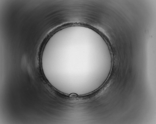 X0000089680927200707201657