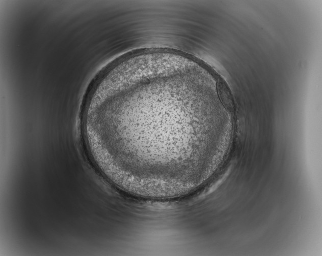 X0000089680928200707201657