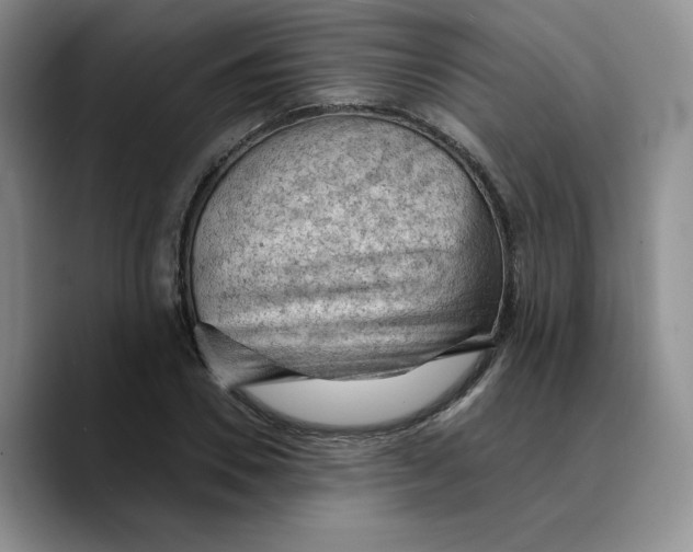 X0000089680930200707201657