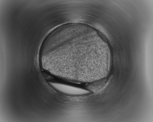 X0000089680932200707201657