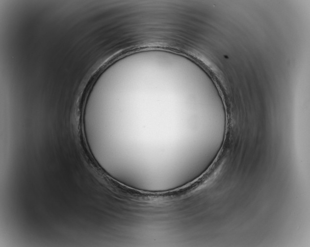 X0000089680933200707201657