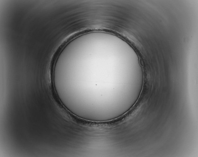 X0000089680934200707201657