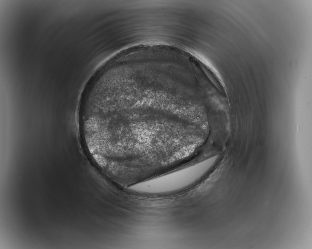 X0000089680935200707201657
