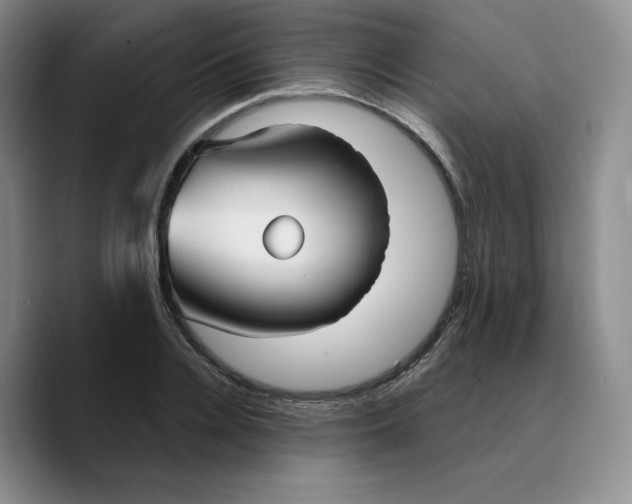 X0000089680936200707201657