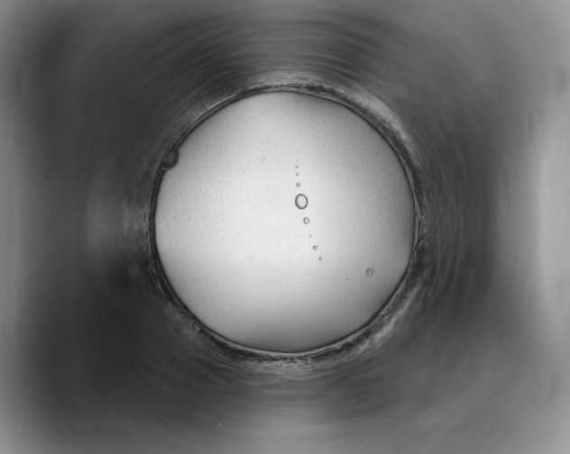 X0000089680937200707201657