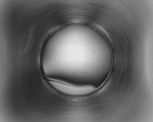 X0000089680938200707201657