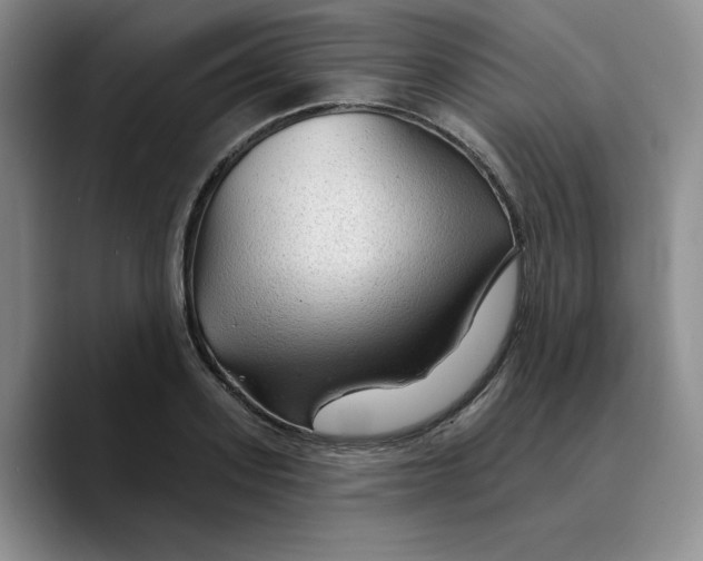 X0000089680939200707201657