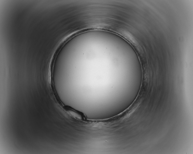 X0000089680940200707201657