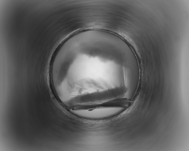 X0000089680941200707201657