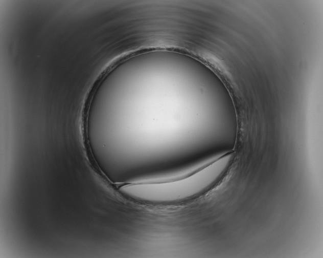 X0000089680942200707201657