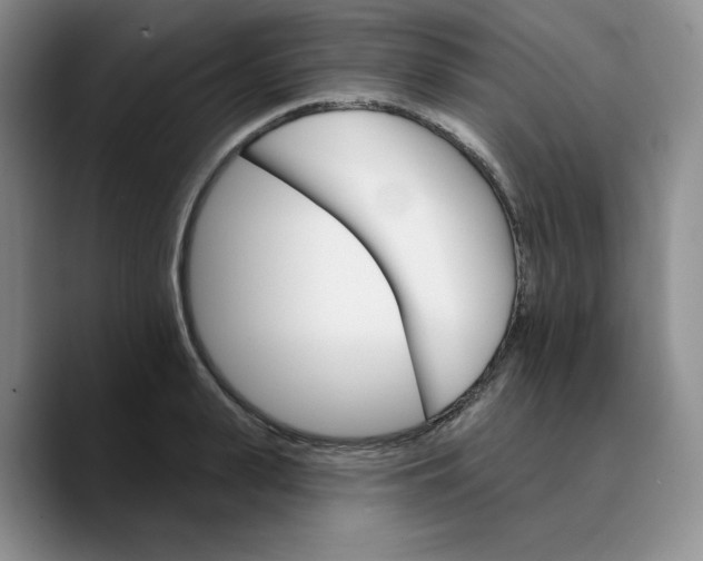X0000089680943200707201657