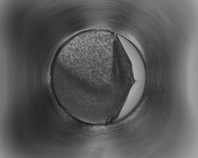 X0000089680944200707201657