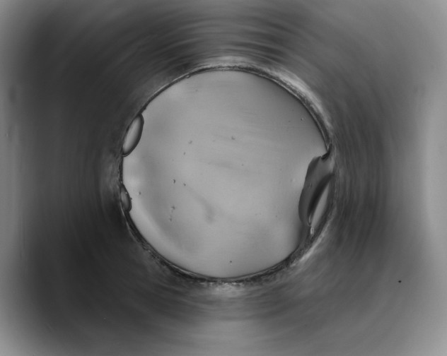 X0000089680945200707201657