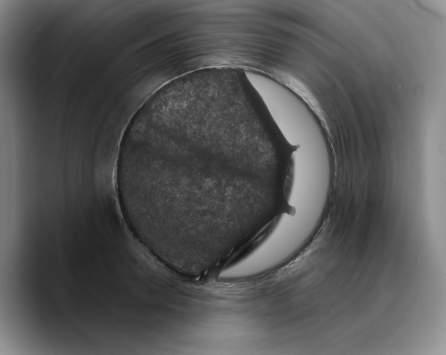 X0000089680946200707201657