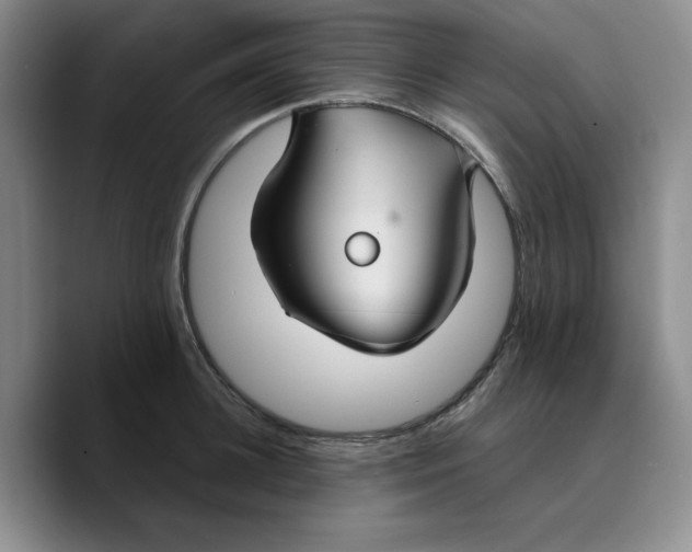 X0000089680948200707201657