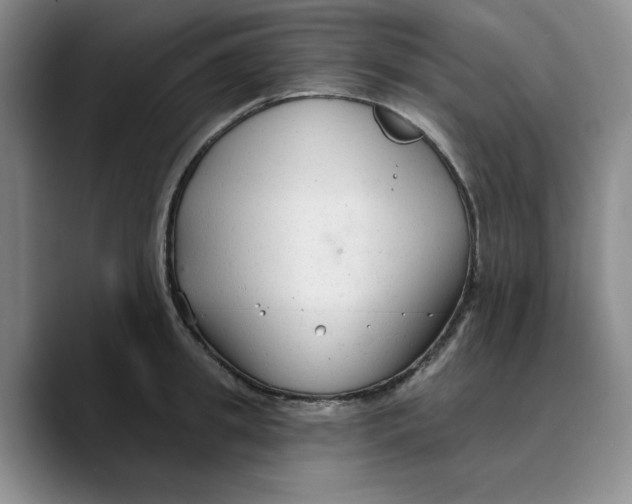 X0000089680949200707201657